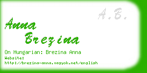 anna brezina business card